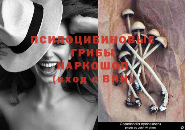 а пвп мука Аркадак