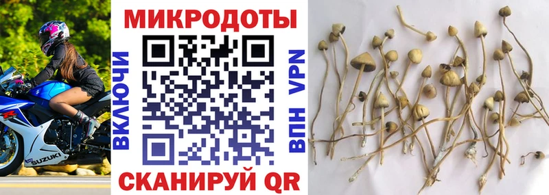 Галлюциногенные грибы GOLDEN TEACHER  купить наркоту  Новый Уренгой 